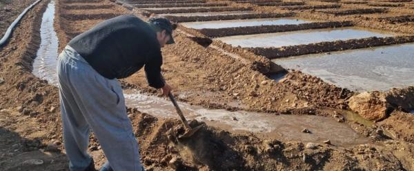 Un agriculteur réutilisant les eaux usées à Tiznit, Maroc © P-L Mayaux, Cirad