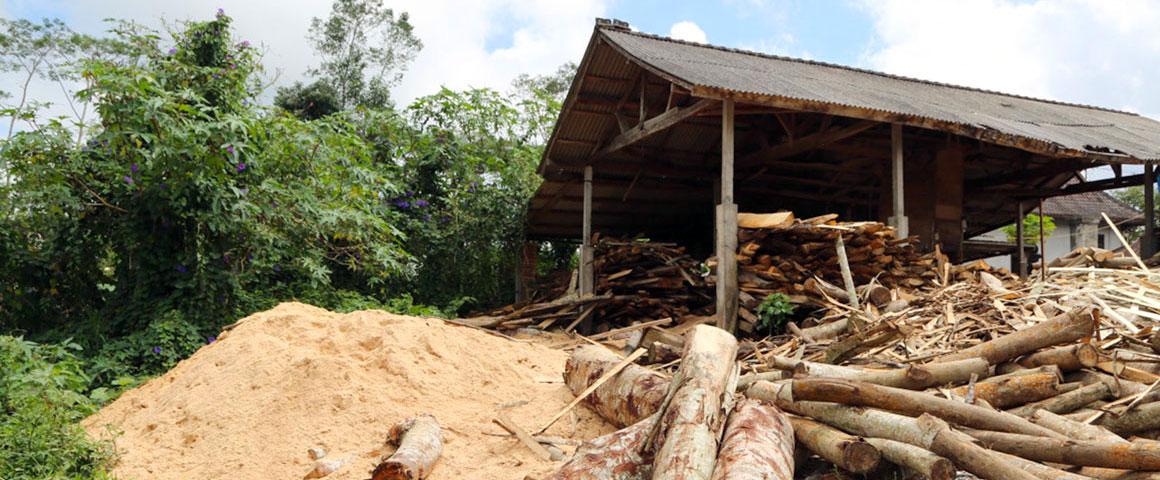 Residual woody biomass © A. Rival, CIRAD