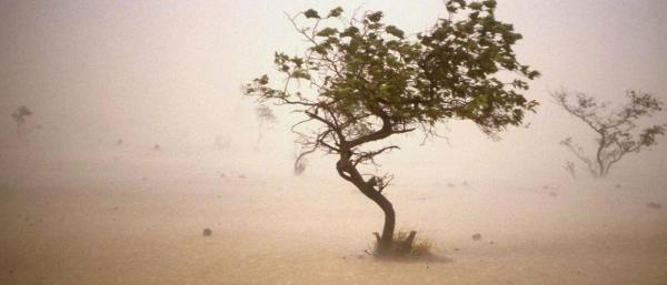 Vent de sable au Sahel © P. Dugué, Cirad