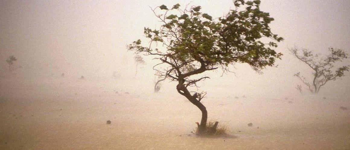 Sandstorm in the Sahel © P. Dugué, CIRAD