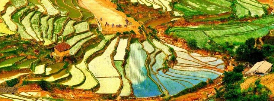 Village of A Bei, Yunnan, China © CIRAD