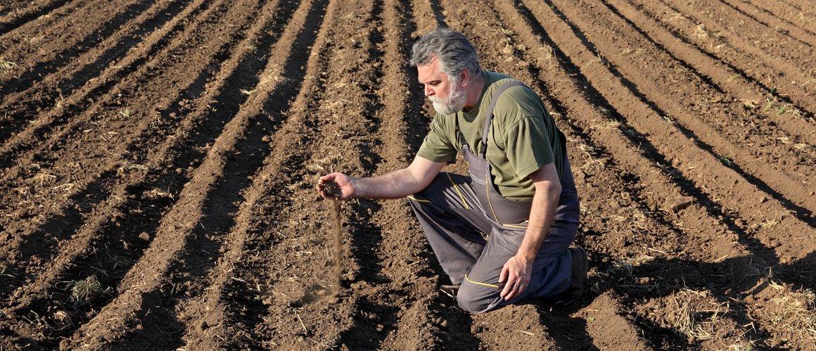 La contamination des sols agricoles est clairement un problème pour aujourd’hui et pour demain, car les contaminants tendent à s’y accumuler irrémédiablement © AdobeStock