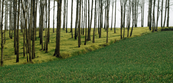 La gestion de l'usage des sols à l'échelle des paysages est une des solutions pour réduire le changement climatique et s'y adapter. © B. Locatelli, Cirad