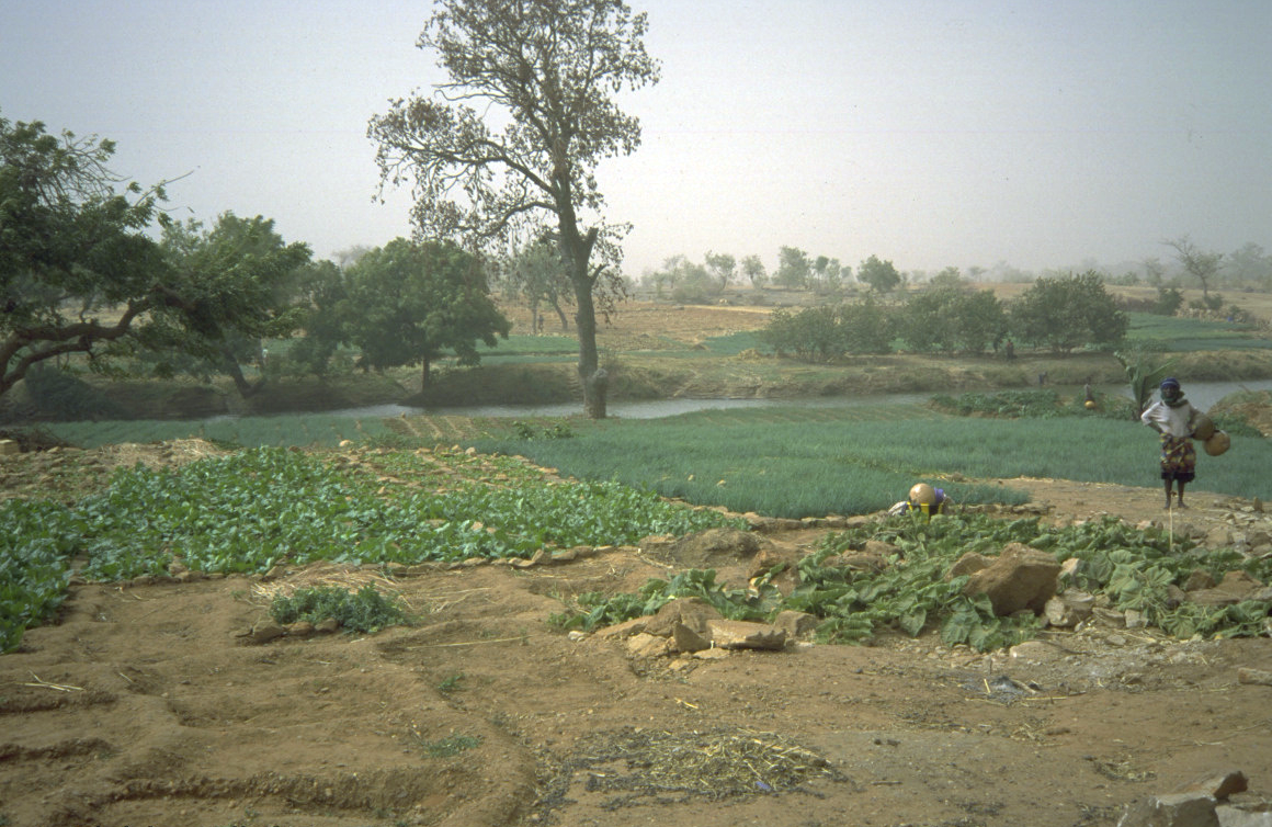 Mali © Marie-Thérèse Allafort