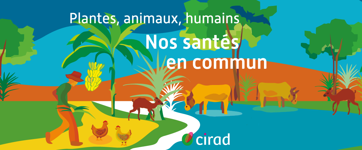 Plantes, animaux, humains. Nos santés en commun - Nourrir le vivant saison 4