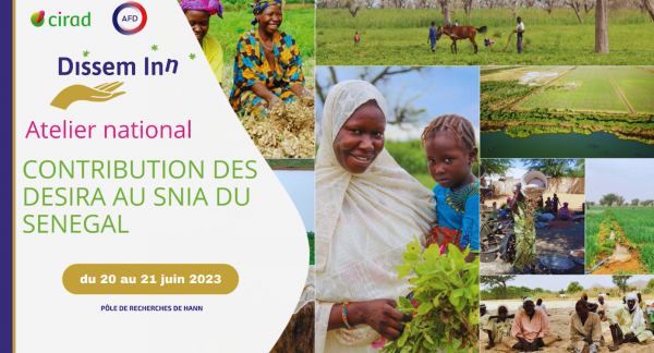 Atelier national DISSEM-INN©CL, Cirad 2023