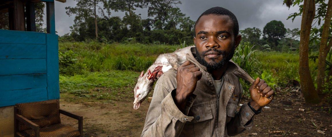 Au Gabon, des chasseurs sont formés à repérer les signaux faibles d'émergence d'épidémies chez la faune sauvage © Brent Stirton-Getty Images for FAO, CIFOR, CIRAD, WCS